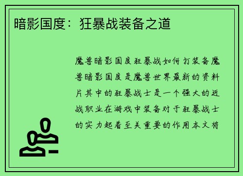 暗影国度：狂暴战装备之道